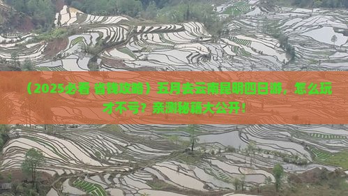 五月去云南昆明四日游