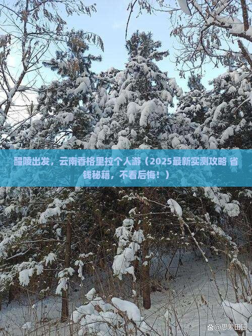 醴陵到云南香格里拉个人游