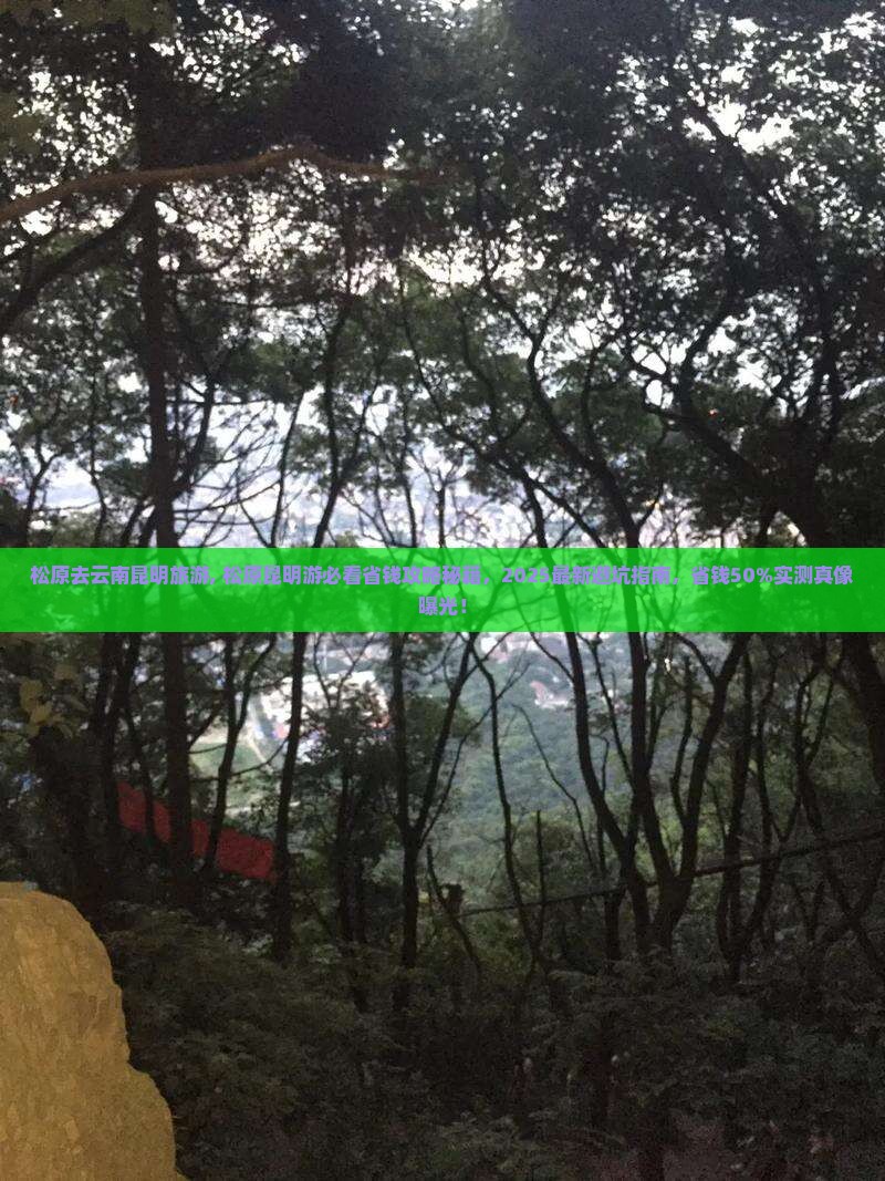 松原去云南昆明旅游