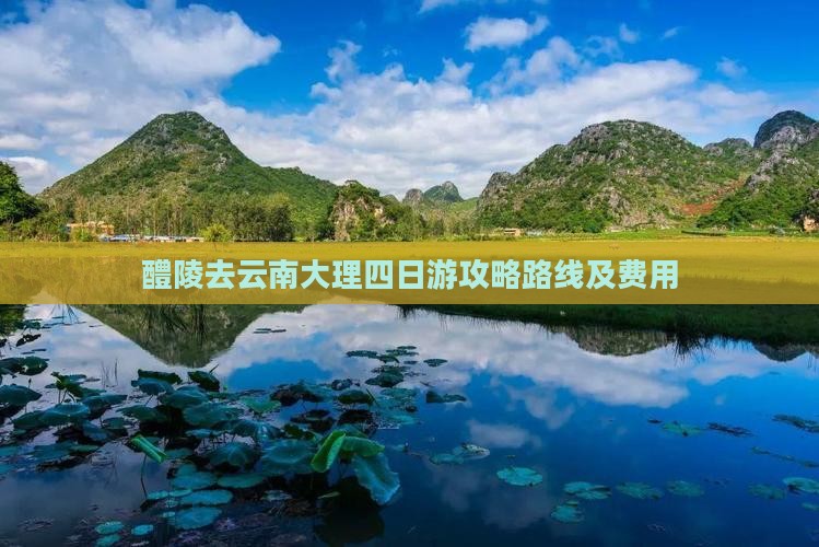 醴陵去云南大理四日游