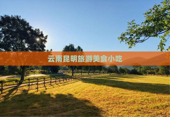 盐城到云南昆明旅游小吃