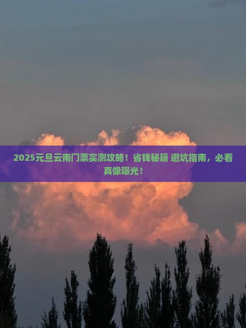 元旦到云南门票