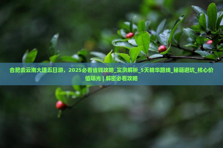 合肥去云南大理五日游