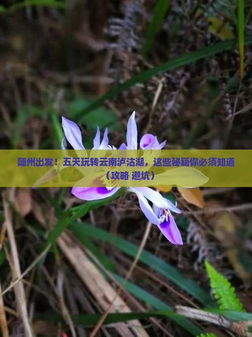 随州到云南泸沽湖五日游