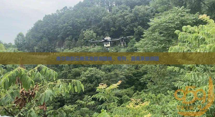 库尔勒到云南洱海旅游