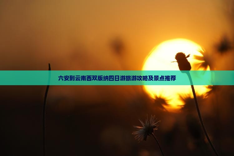 六安到云南西双版纳四日游