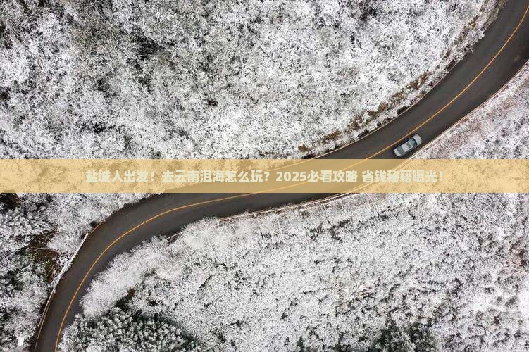 盐城去云南洱海旅游