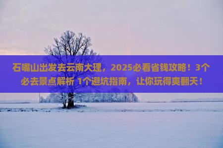 石嘴山去云南大理攻略