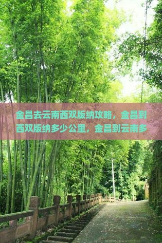 金昌去云南西双版纳攻略