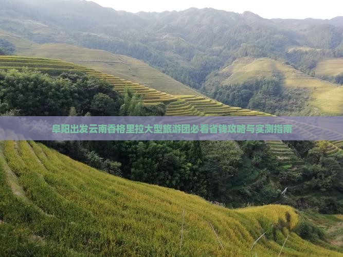 阜阳去云南香格里拉大型旅游团