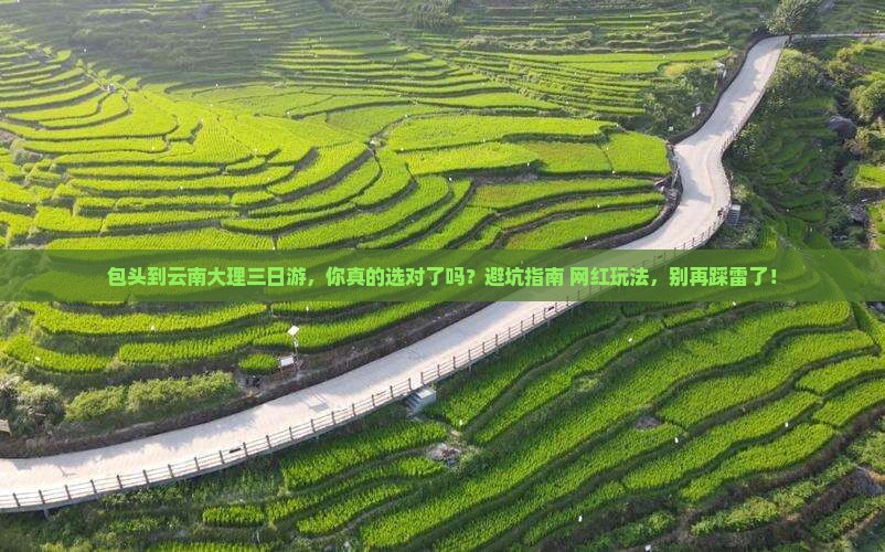 包头到云南大理三日游