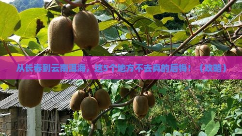 长春到云南洱海必去地