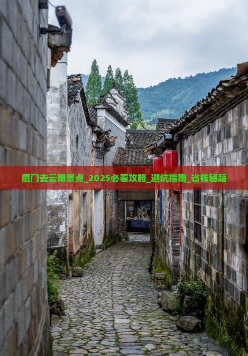 厦门去云南景点