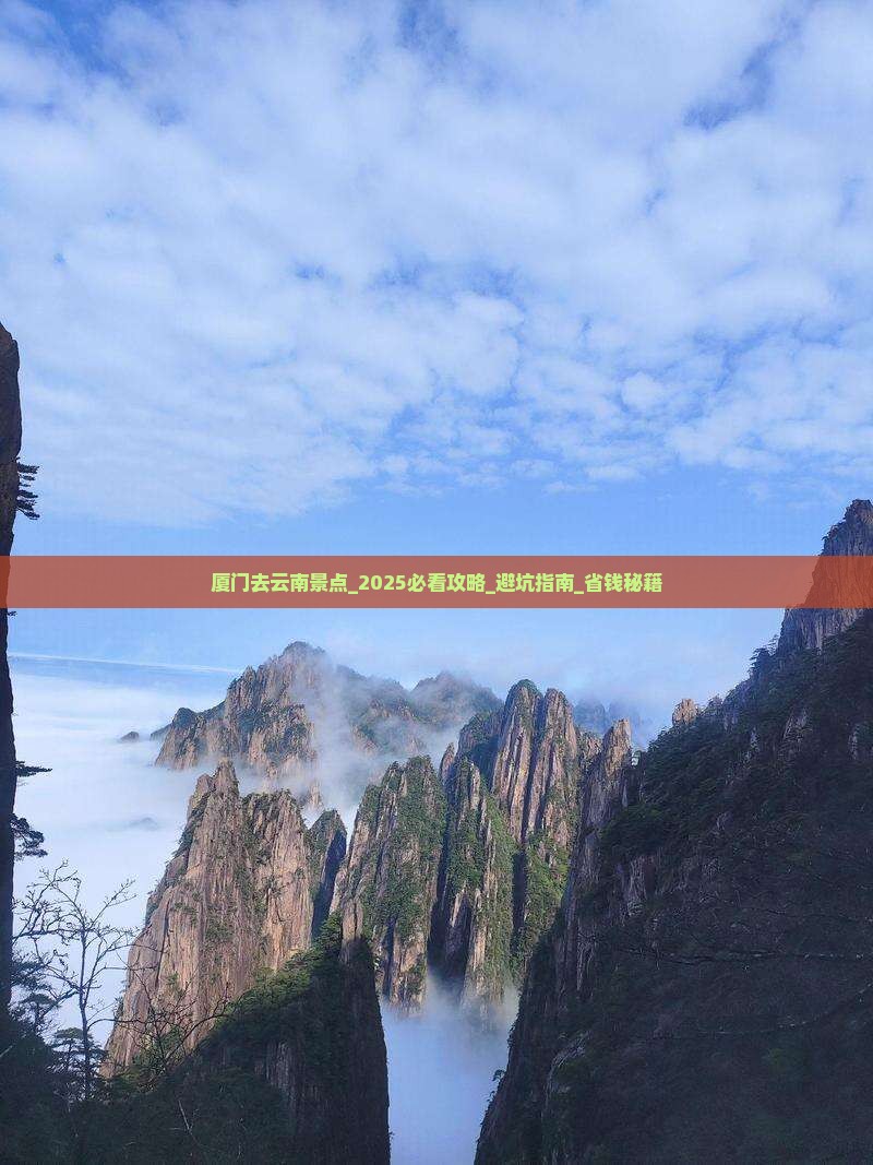 厦门去云南景点