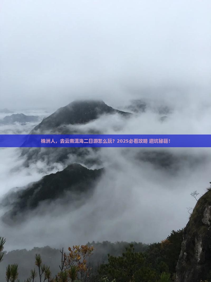 株洲去云南洱海二日游