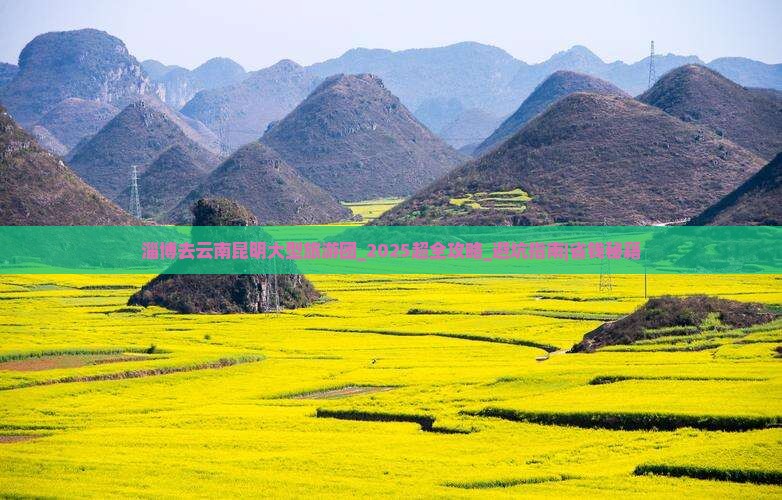 淄博去云南昆明大型旅游团