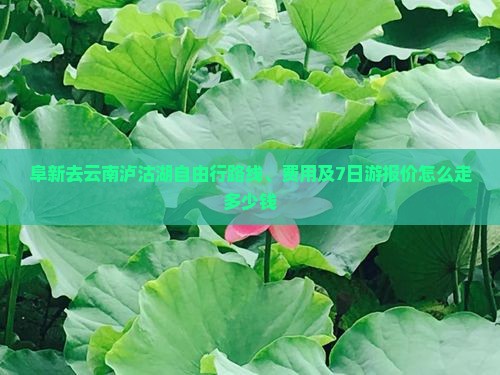 阜新去云南泸沽湖自由行