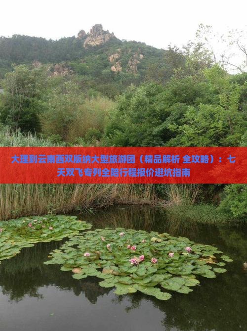 大理到云南西双版纳大型旅游团