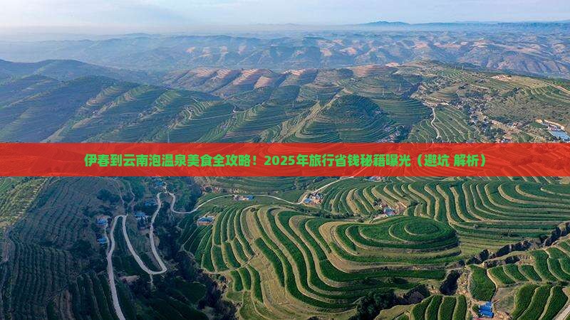 伊春到云南温泉旅游小吃