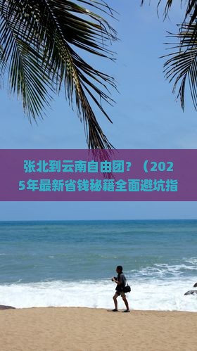 张北到云南自由团