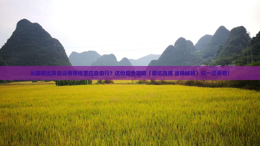 醴陵到云南香格里拉自由团
