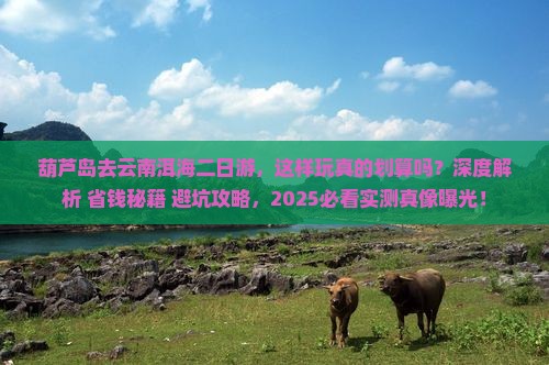 葫芦岛去云南洱海二日游
