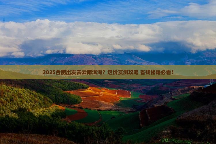 合肥去云南洱海旅行社