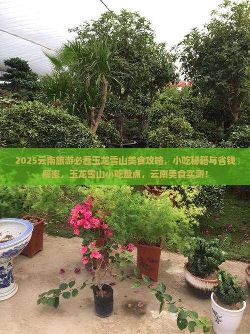 珠海去云南玉龙雪山旅游小吃