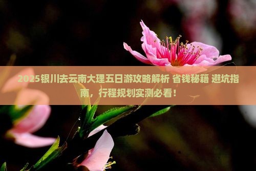 银川去云南大理五日游