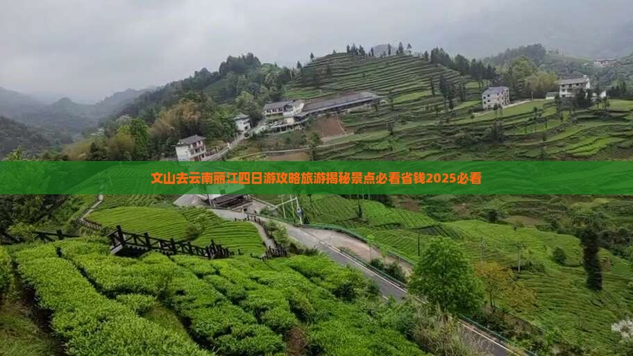 文山去云南丽江四日游