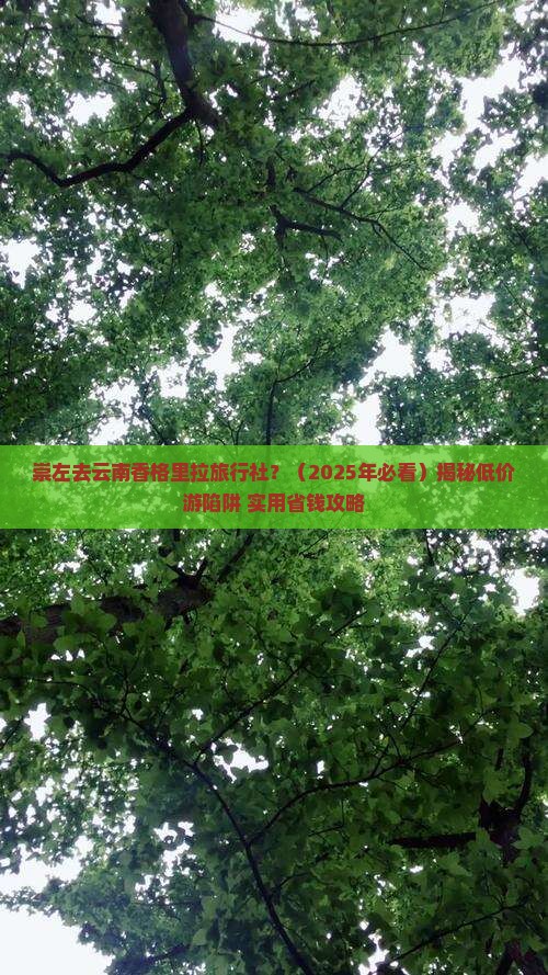 崇左去云南香格里拉旅行社