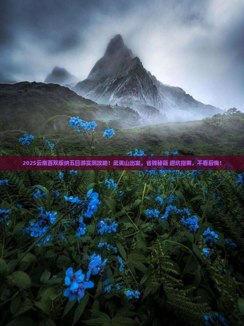 武夷山去云南西双版纳五日游