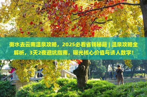 衡水去云南温泉攻略