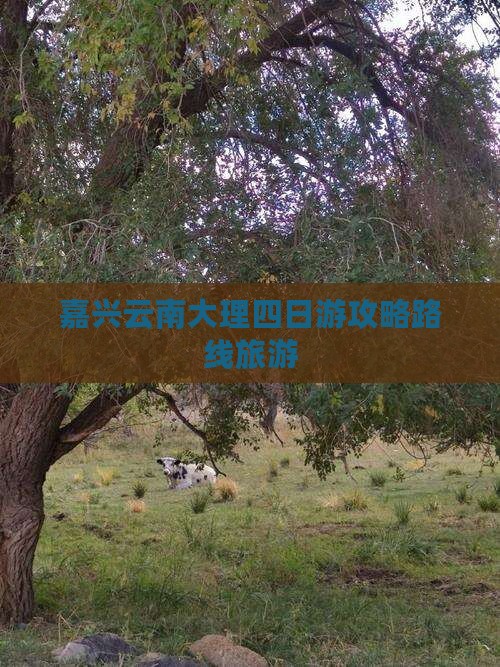 嘉兴去云南大理四日游