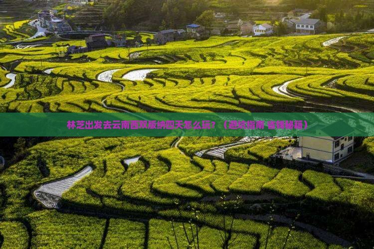 林芝去云南西双版纳四日游