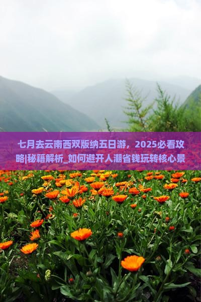 七月去云南西双版纳五日游