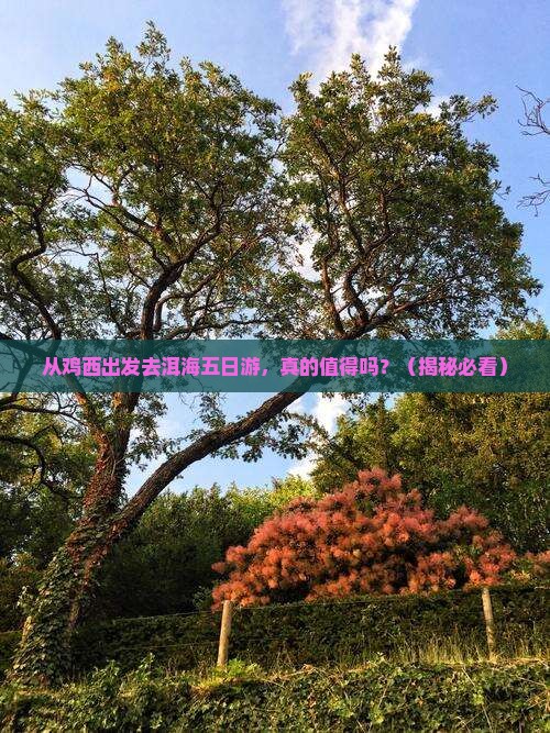 鸡西去云南洱海五日游