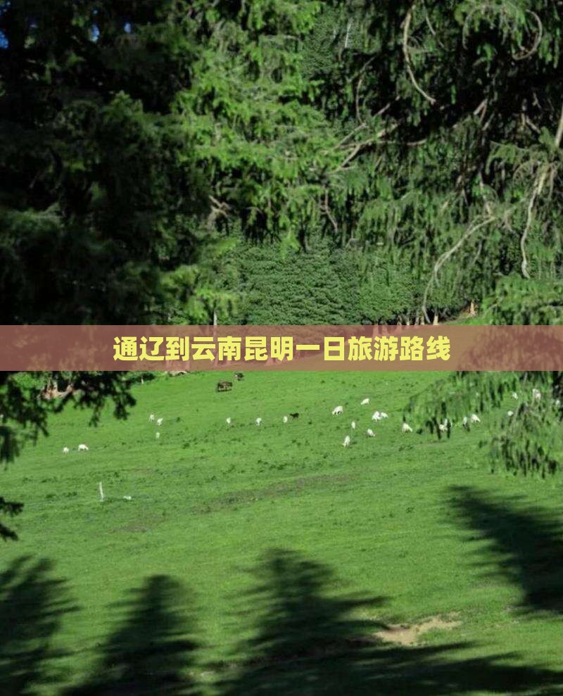 通辽到云南昆明一日