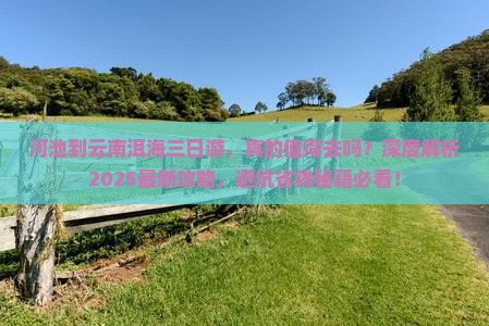 河池到云南洱海三日游