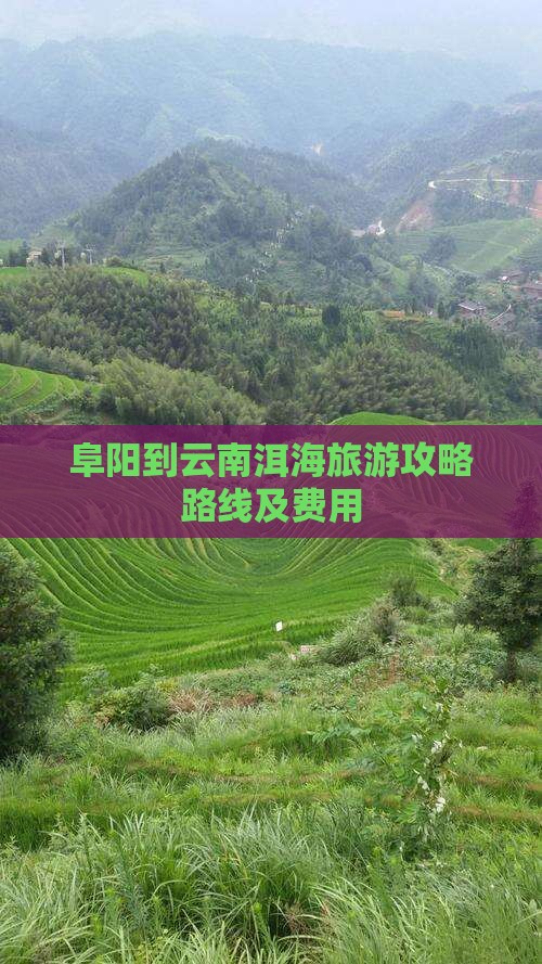 阜阳到云南洱海旅游