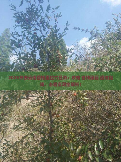 中秋节去云南香格里拉六日游