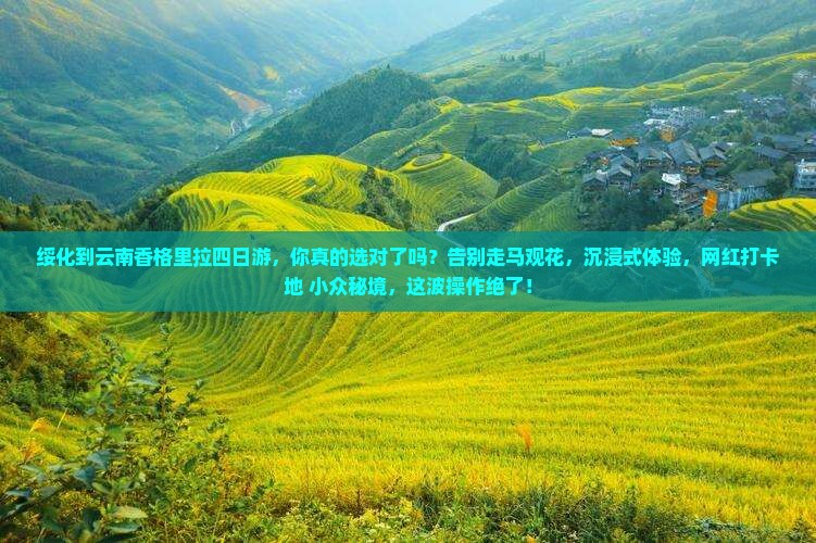 绥化到云南香格里拉四日游