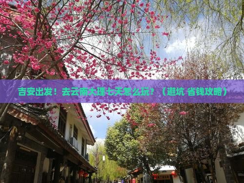 吉安去云南大理七日游