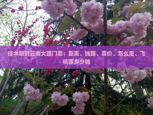 佳木斯到云南大理门票