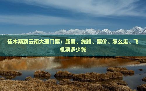 佳木斯到云南大理门票