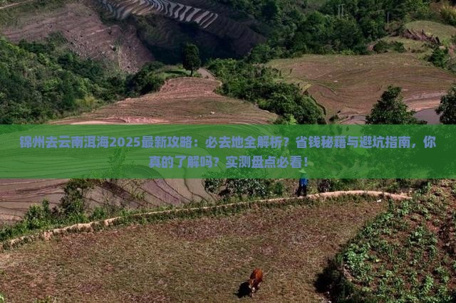 锦州去云南洱海必去地