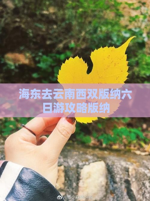 海东去云南西双版纳六日游