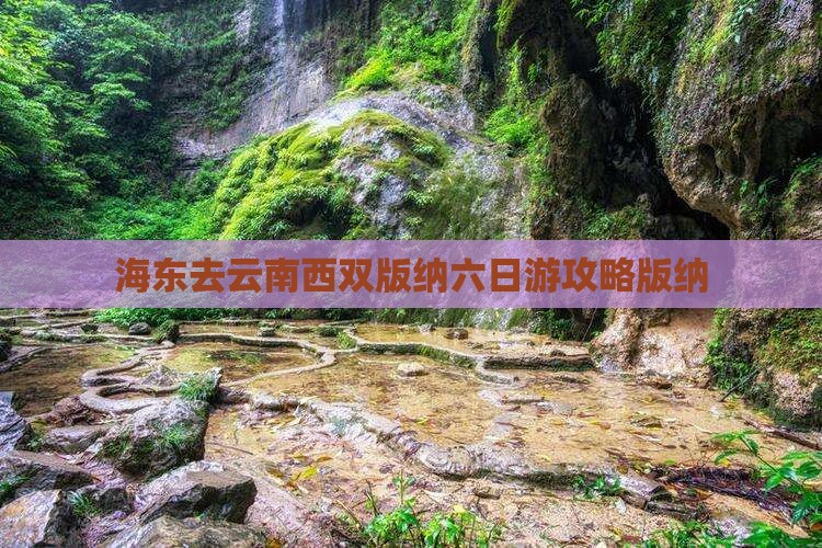海东去云南西双版纳六日游
