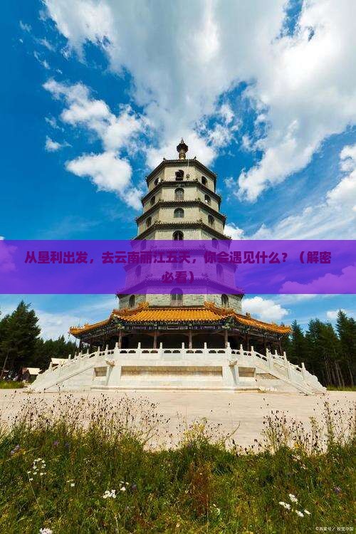 垦利到云南丽江五日游
