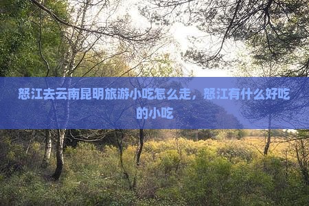 怒江去云南昆明旅游小吃